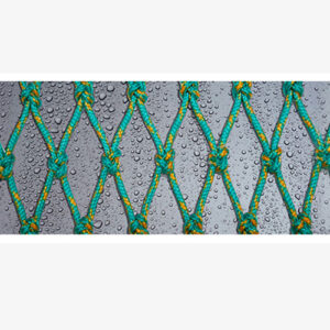 EUROLINE NETTING