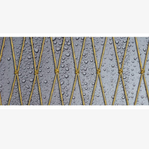 EUROLINE PREMIUM PLUS NETTING