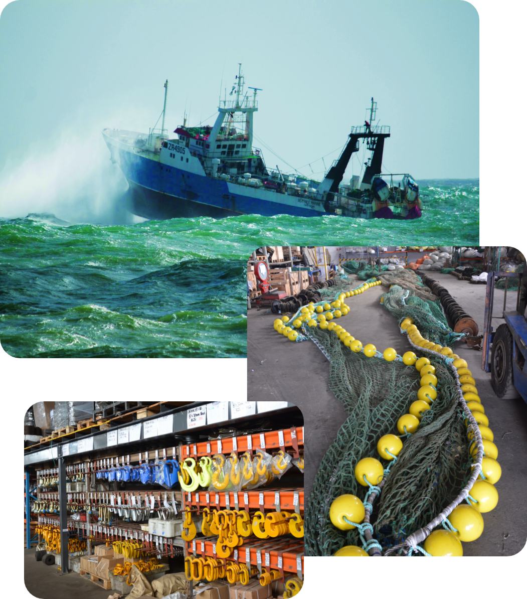 AMS Ports & Regions we serve